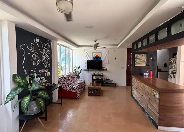 Homestay Casa Tortuga Cozumel